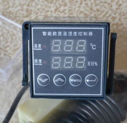 溫濕度控制器 精準環(huán)境控制的智慧之選